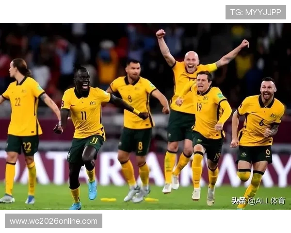 日本世界杯之路：历史突破与荣耀再现的全景回顾